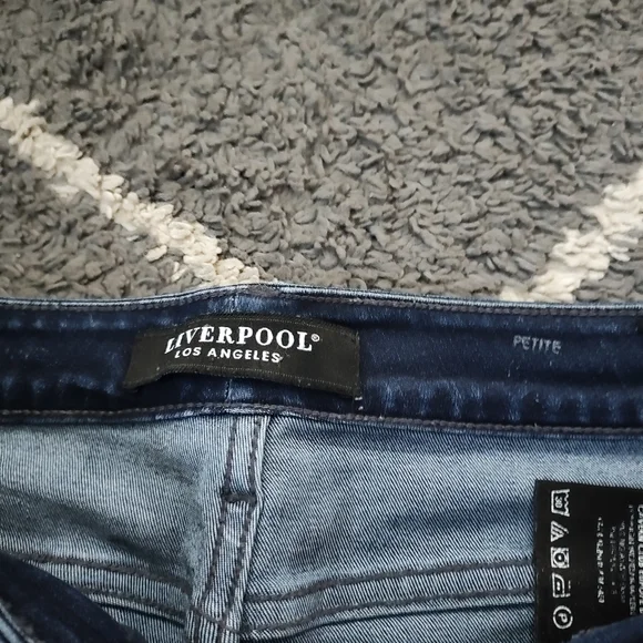 LIVERPOOL Los Angeles PETITE Penny Distressed Ankle Skinny Size 8P - Picture 10 of 11